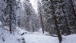 Фото з туру Тиждень сніжного драйву, 16 січня 2017 від туриста victoriakisel