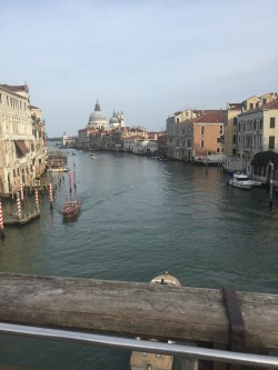 Фото из тура Я в восторге!!! Это... Рим! Рим + Неаполь, Флоренция и Венеция!, 19 марта 2017 от туриста Violetta