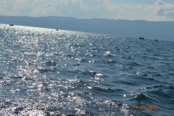 Фото из тура Летние акварели Балкан…Отдых на море в Албании, 06 августа 2016 от туриста Rated88