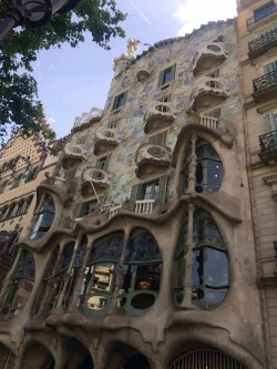 Фото из тура Кастаньеты испанского сердца  3 дня в Барселоне, 30 апреля 2017 от туриста Лена