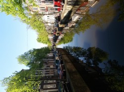Фото з туру Мої найкращі друзі Амстердам і Париж, 07 травня 2017 від туриста Chornous
