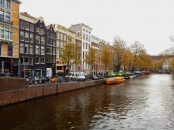 Фото з туру Вітаю, милий Амстердам!, 07 травня 2017 від туриста lady-elena