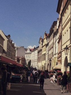 Фото из тура Приятный уикенд  Прага + Дрезден, 14 июля 2017 от туриста Nati
