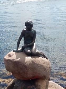 Фото из тура Подари мне звезды Севера Скандинавия + Фьорды , 09 июля 2017 от туриста Елена13