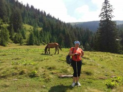 Фото з туру Карпатських гір передзвін, 17 липня 2017 від туриста ol4k