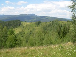 Фото з туру Карпатських гір передзвін, 17 липня 2017 від туриста Оксана