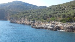 Фото из тура А я на море… в Греции!, 14 июля 2017 от туриста Lars