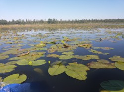 Фото из тура Сказания Волыни …с отдыхом на Шацких озерах!!!, 04 августа 2017 от туриста nkaterinaa