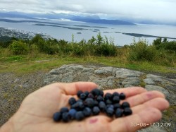 Фото з туру Мед з чорницями… І вся Скандинавія, 04 серпня 2017 від туриста Александр