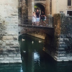 Фото з туру Прекрасна венеціанка! Відень, Верона і Будапешт!, 23 серпня 2017 від туриста Маруся
