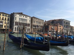 Фото из тура Рим! Все только начинается… Флоренция + Венеция, 14 мая 2017 от туриста MissBin