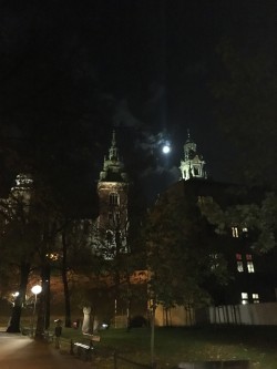 Фото из тура Пражское дежавю  Прага и Вена, 30 октября 2017 от туриста Natal_Y