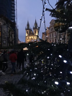 Фото з туру Три щасливі дні Краків, Прага + Дрезден, 16 грудня 2017 від туриста LizaOsa