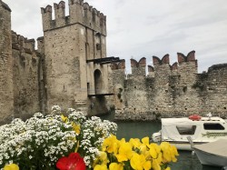 Фото из тура Лазурная интрига! Ницца, Канны, Монако, Генуя и Венеция, 29 апреля 2018 от туриста lenchik
