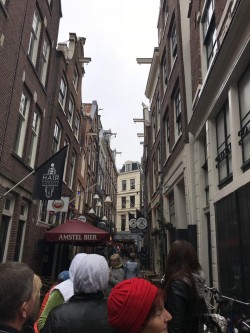 Фото з туру Мить щастя в Амстердамі, 27 квітня 2018 від туриста rina_lion