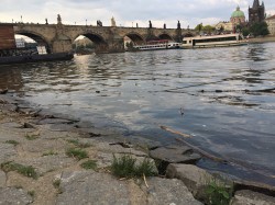 Фото из тура Душевный Уикенд Краков, Прага, Вена, Будапешт + Эгер, 27 мая 2018 от туриста vadym