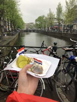 Фото из тура Амстердам и Париж…  зажег и привлек…, 27 апреля 2018 от туриста Anna