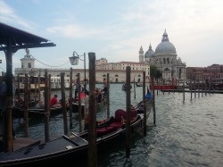 Фото из тура Мотивы лазурных нот: Ницца, озеро Гарда и Венеция!, 16 июня 2018 от туриста Alina