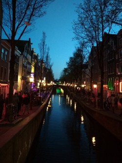 Фото з туру Мить щастя в Амстердамі, 14 квітня 2018 від туриста Natali