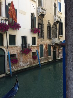Фото из тура Прекрасная венецианка! Вена, Верона и Будапешт!, 10 июля 2018 от туриста Веня