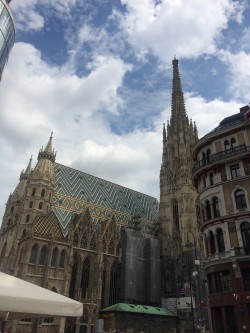 Фото з туру Прекрасна венеціанка! Відень, Верона і Будапешт!, 10 липня 2018 від туриста Веня