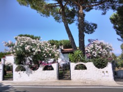 Фото из тура «Релакс» по – итальянски: Амальфитанское побережье + Рим, Флоренция и Венеция!, 08 июля 2018 от туриста Екатерина