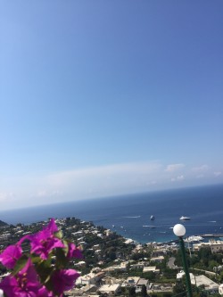 Фото из тура «Релакс» по – итальянски: Амальфитанское побережье + Рим, Флоренция и Венеция!, 04 августа 2018 от туриста Tasi4ka