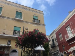 Фото з туру «Релакс» по-італійськи: Амальфітанське узбережжя + Рим, Флоренція і Венеція!, 04 серпня 2018 від туриста Tasi4ka