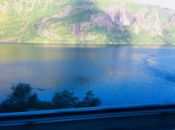 Фото из тура Мед с черникой… И вся Скандинавия, 05 августа 2018 от туриста Николай