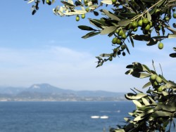 Фото з туру Мотиви лазурних нот: Ніцца, озеро Гарда і Венеція!, 25 серпня 2018 від туриста Марина