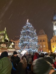 Фото из тура Романтический Париж! Страсбург, Кольмар, Нюрнберг, 29 декабря 2018 от туриста Helen