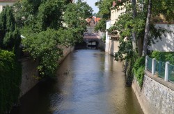 Фото з туру Маленька французька подорож Париж, Діснейленд +Нюрнберг, 17 липня 2018 від туриста Alina