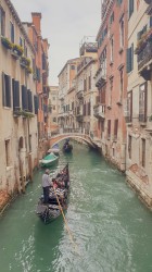 Фото з туру Рим притягує нас! Відень, Флоренція та Венеція, 30 березня 2019 від туриста volodyavektor