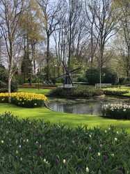 Фото из тура Пикничок в Амстердаме , 11 апреля 2019 от туриста Tati 