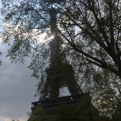 Фото из тура А я в Париже! + Диснейленд!, 11 апреля 2019 от туриста ljalina
