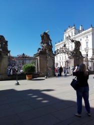 Фото из тура Все в Праге, а я в Париже! + Диснейленд!, 21 апреля 2019 от туриста lucia