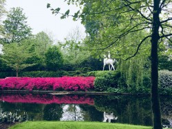 Фото из тура Амурная неделька в Амстердаме и Париже!!!, 29 апреля 2019 от туриста Светлана 