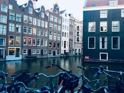 Фото из тура Амурная неделька в Амстердаме и Париже!!!, 29 апреля 2019 от туриста Светлана 