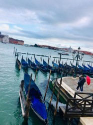 Фото з туру Соковитий вікенд: Верона, Рим, Венеція!, 25 квітня 2019 від туриста Марина