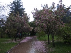 Фото из тура Два дня рая в Закарпатье, 27 апреля 2019 от туриста Gera