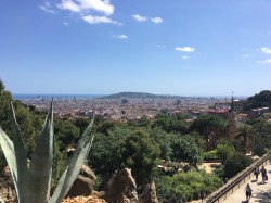 Фото из тура Солнечный поцелуй Барселоны, 02 мая 2019 от туриста iv_step