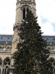 Фото из тура Ярмарки чудес:Краков, Дрезден, Прага, Вена и Будапешт!, 22 декабря 2018 от туриста Марина