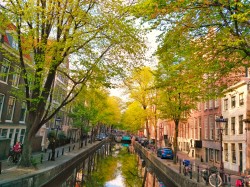 Фото з туру Фантастична четвірка: Амстердам, Брюссель, Люксембург та Берлін!, 05 травня 2019 від туриста NaTylja
