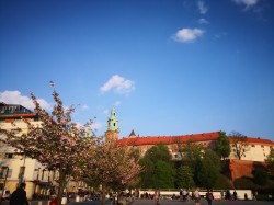 Фото из тура Пражский экспресс  + Дрезден Прага, Карлові Вари, Краків, 02 мая 2019 от туриста Saadalsund