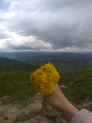 Фото из тура Свежесть родников Закарпатья, 21 мая 2019 от туриста Olga.goma