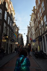 Фото из тура Must seе - Amsterdam или 2 дня в Амстердаме!, 06 мая 2019 от туриста vsemon
