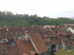 Фото з туру В гостях у Швейцарії  Цюрих, Женева, Берн + Монблан, 12 травня 2019 від туриста IRENA
