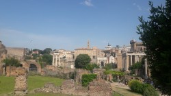 Фото из тура Рим притягивает нас! Вена, Флоренция и Венеция!, 03 июня 2019 от туриста Анюта К.