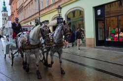 Фото из тура Пражские деньки… хрустальные  Дрезден, Краков, 17 мая 2019 от туриста Смирнова