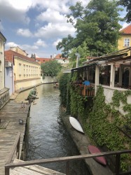 Фото из тура Пражские деньки… хрустальные  Дрезден, Краков, 21 июня 2019 от туриста a_alya